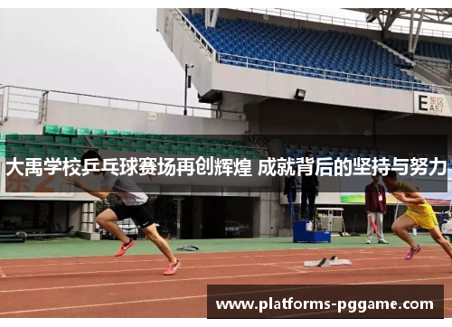 大禹学校乒乓球赛场再创辉煌 成就背后的坚持与努力