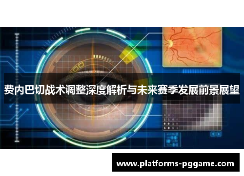 费内巴切战术调整深度解析与未来赛季发展前景展望