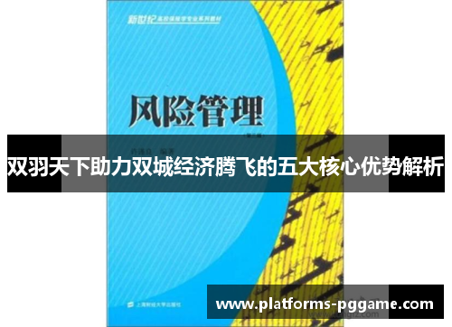 双羽天下助力双城经济腾飞的五大核心优势解析