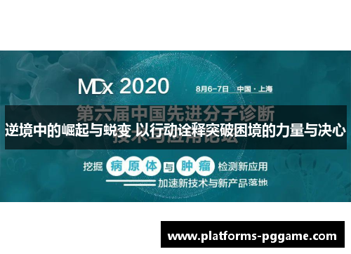 逆境中的崛起与蜕变 以行动诠释突破困境的力量与决心