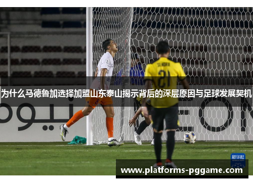 为什么马德鲁加选择加盟山东泰山揭示背后的深层原因与足球发展契机