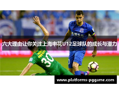 六大理由让你关注上海申花U12足球队的成长与潜力 六大理由让你关注上海申花U12足球队的成长与潜力
