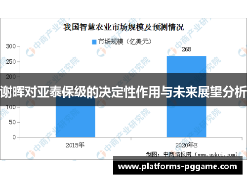 谢晖对亚泰保级的决定性作用与未来展望分析