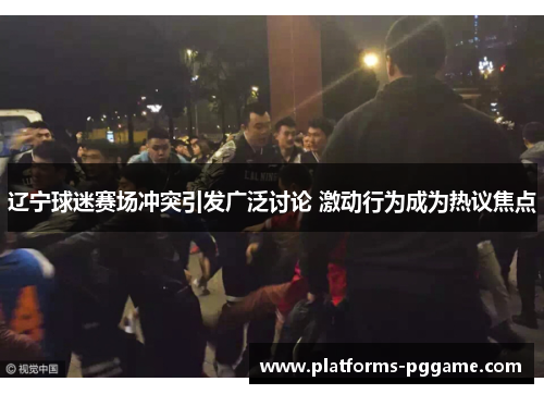 辽宁球迷赛场冲突引发广泛讨论 激动行为成为热议焦点