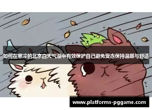 如何在寒冷的北京白天气温中有效保护自己避免受冻保持温暖与舒适
