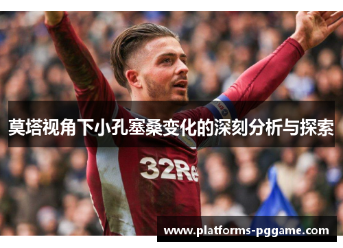 莫塔视角下小孔塞桑变化的深刻分析与探索