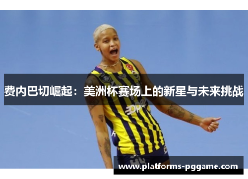 费内巴切崛起：美洲杯赛场上的新星与未来挑战