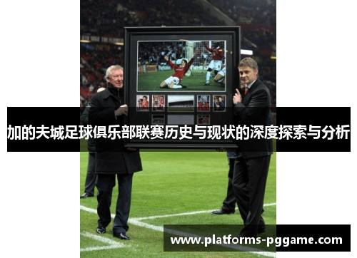 加的夫城足球俱乐部联赛历史与现状的深度探索与分析