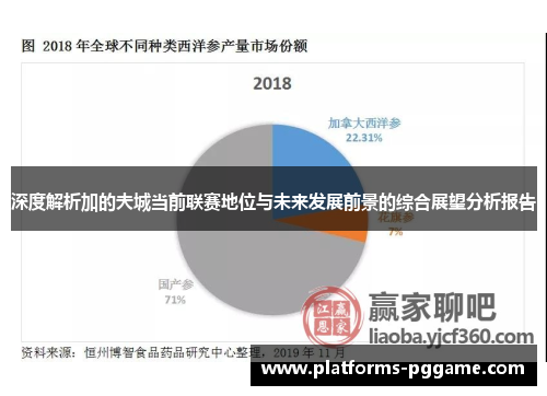 深度解析加的夫城当前联赛地位与未来发展前景的综合展望分析报告