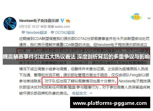 魏震禁赛事件引发五大热议看法 深度剖析背后的多重争议与影响