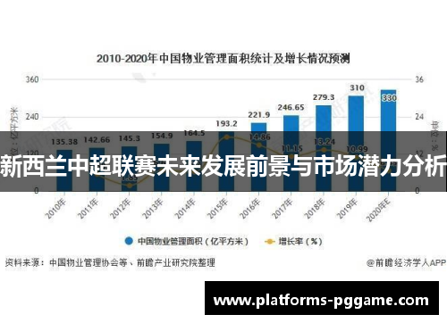 新西兰中超联赛未来发展前景与市场潜力分析 新西兰中超联赛未来发展前景与市场潜力分析