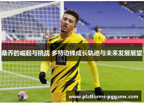 桑乔的崛起与挑战 多特边锋成长轨迹与未来发展展望